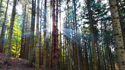 bellezza-comunità-nuovo-mondo