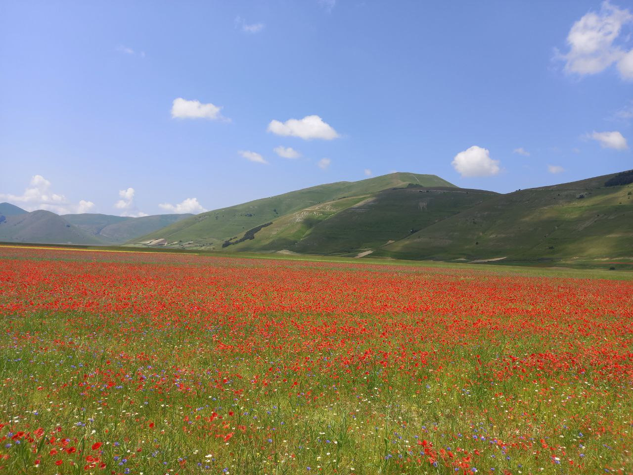 castelluccio 1