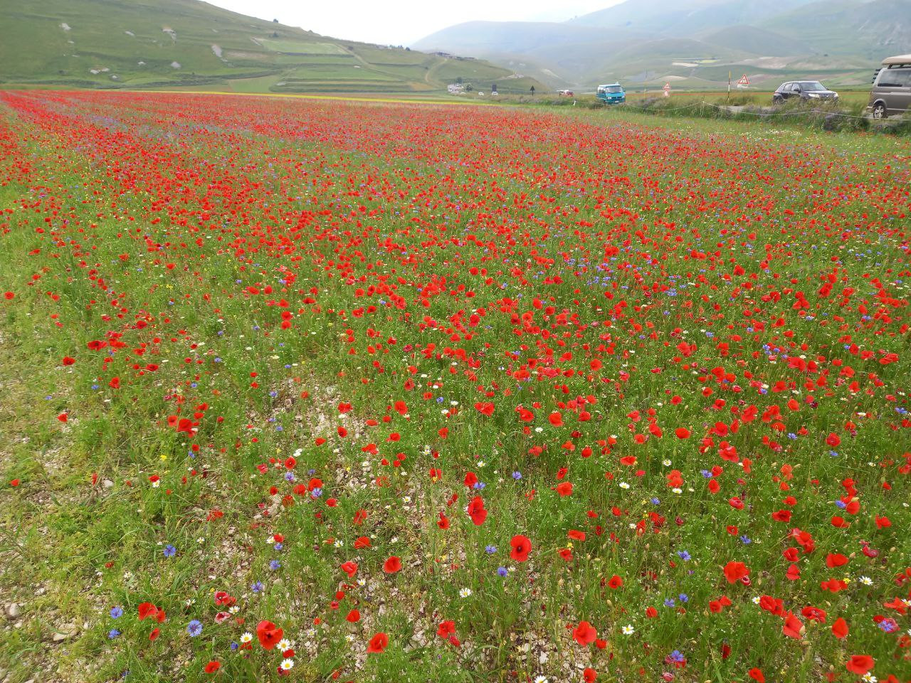 castelluccio 2