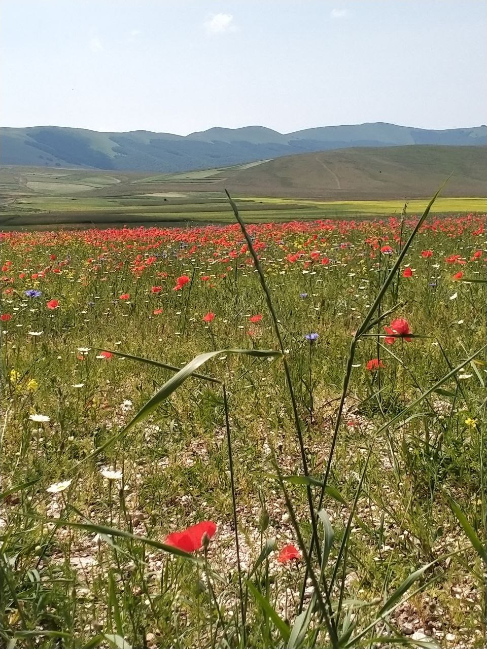 castelluccio 3